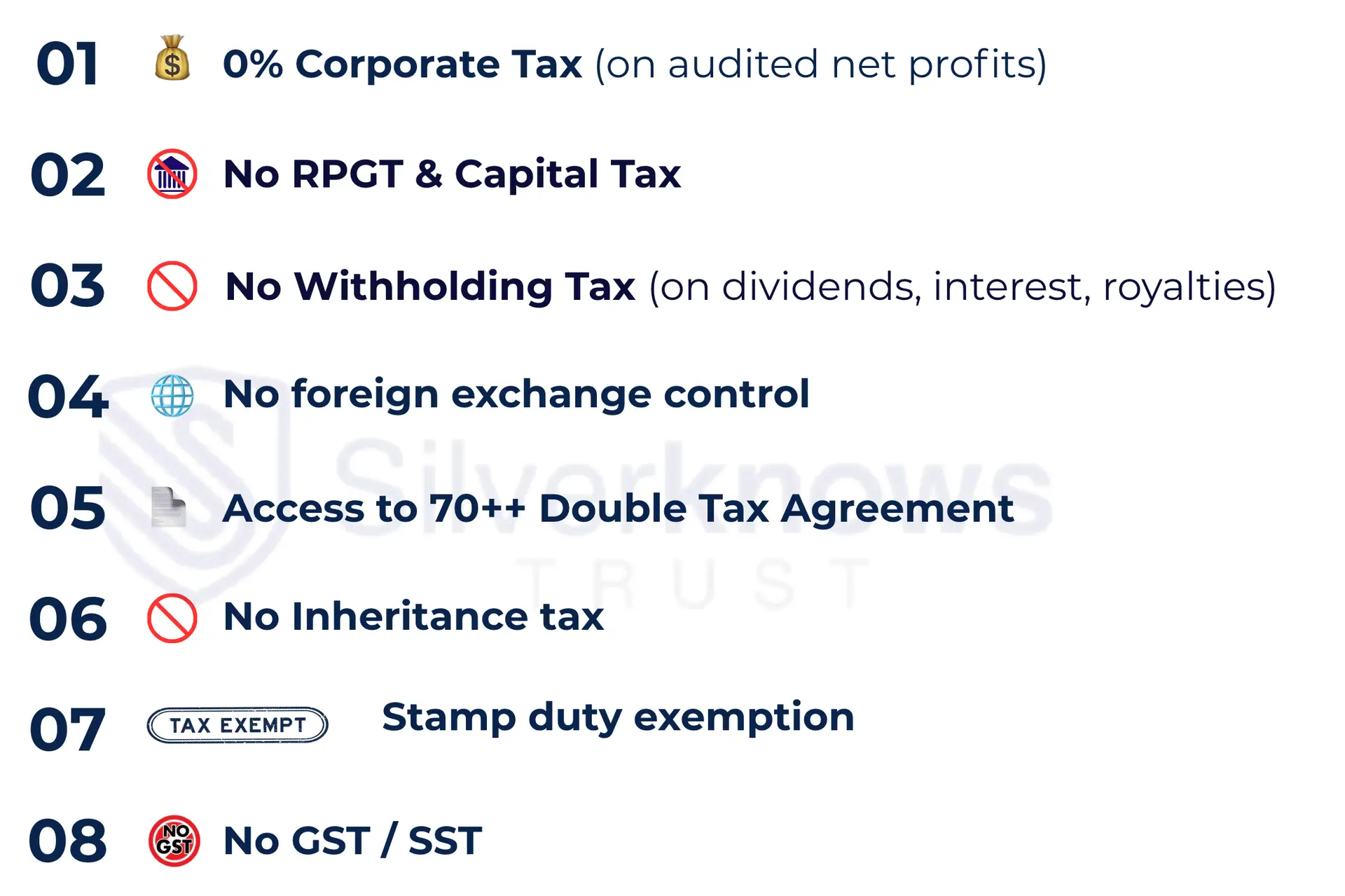 Pure Investment Holding Company Tax Benefits